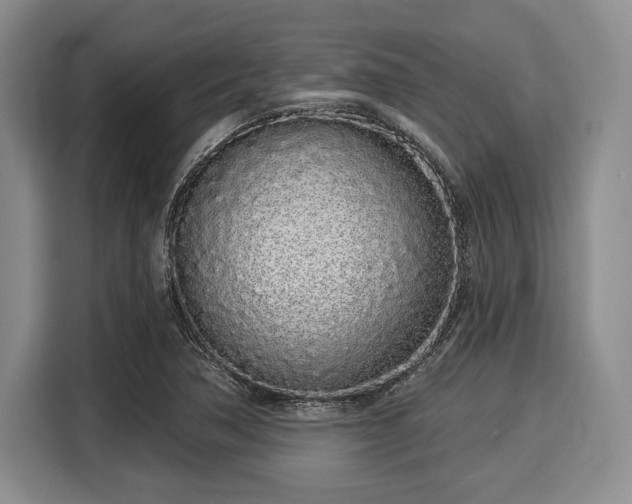 X0000116041362200911271149