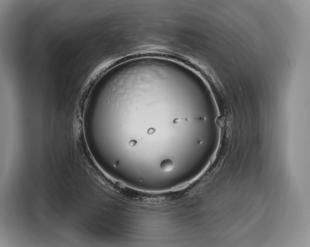 X0000116041363200911271149