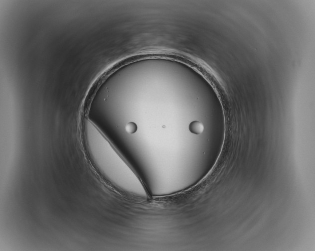 X0000116041364200911271149