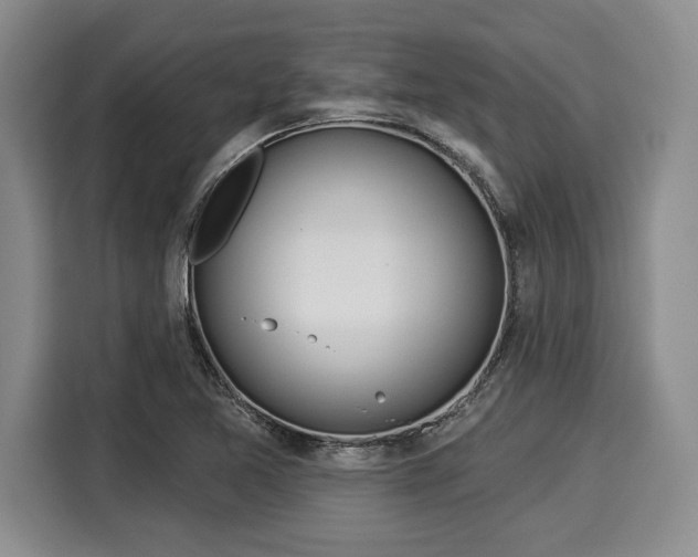 X0000116041365200911271149