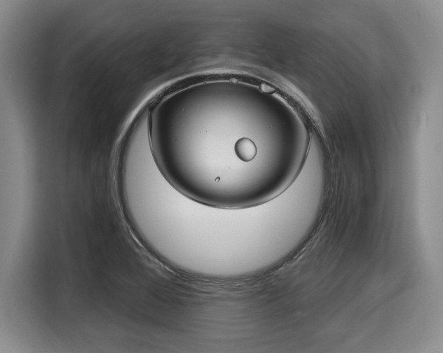 X0000116041368200911271149