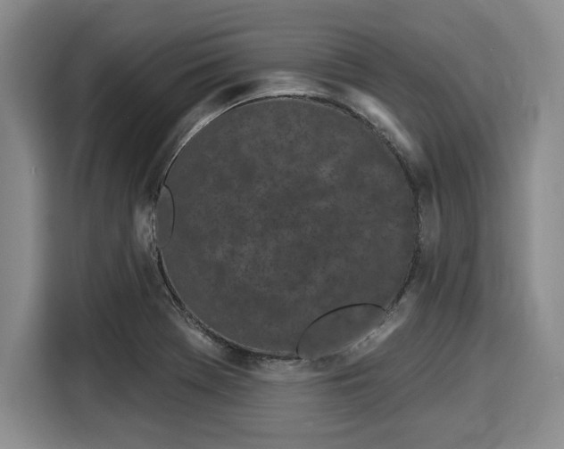 X0000116041369200911271149