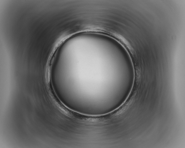 X0000116041371200911271149