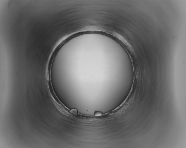 X0000116041372200911271149