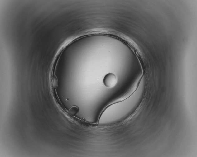 X0000116041373200911271149