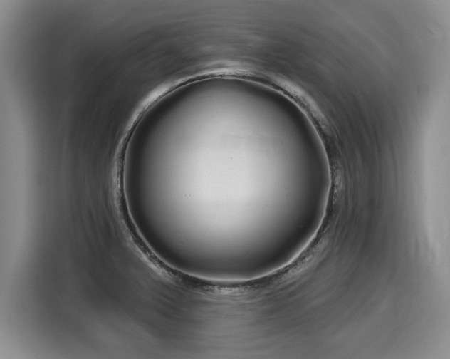 X0000116041375200911271149