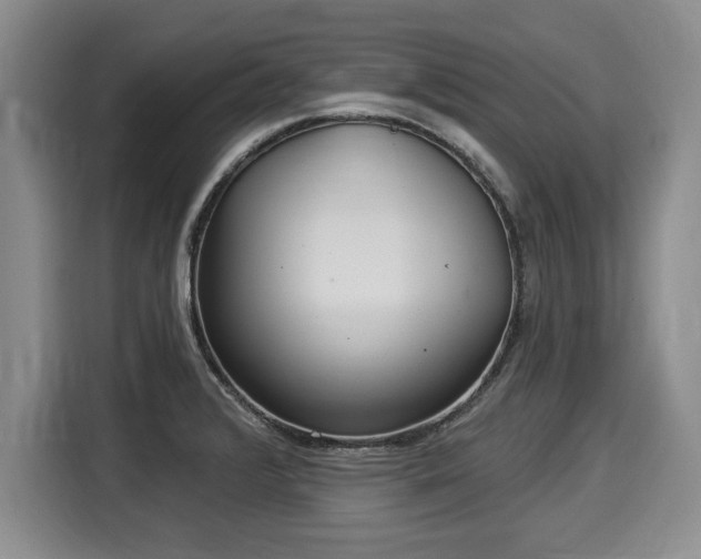 X0000116041376200911271149