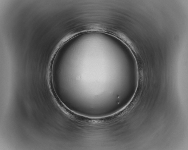 X0000116041379200911271149