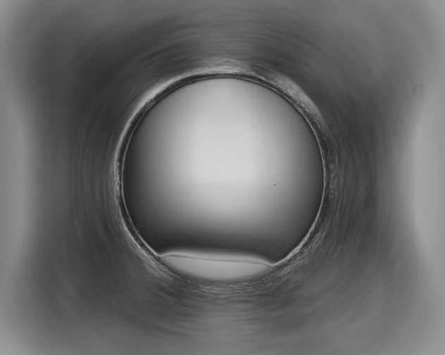 X0000116041380200911271149