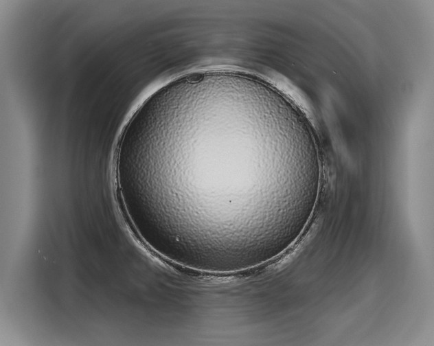 X0000116041382200911271149