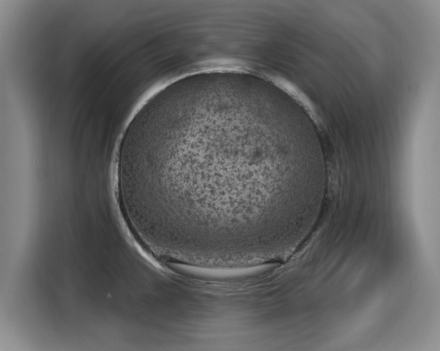 X0000116041383200911271149