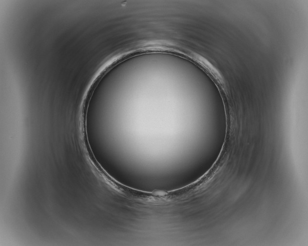 X0000116041384200911271149