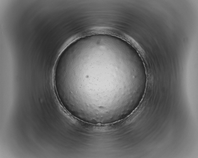 X0000116041386200911271149