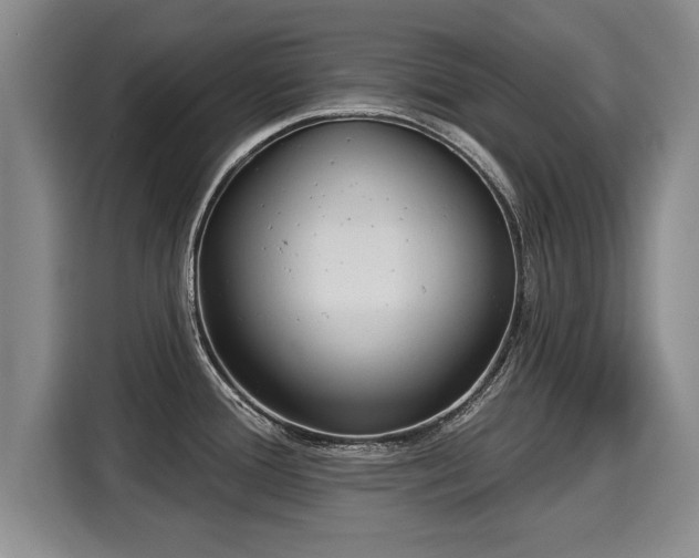 X0000116041388200911271149