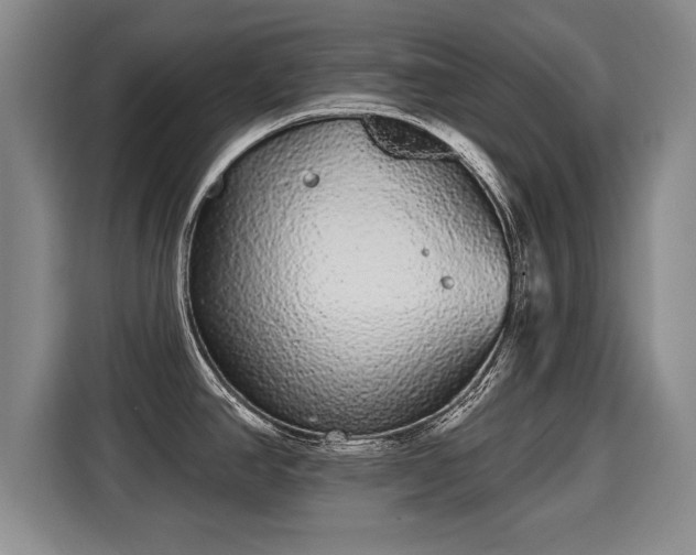 X0000116041390200911271149