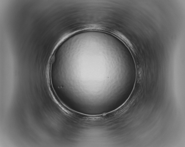 X0000116041391200911271149