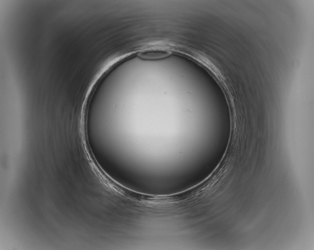 X0000116041392200911271149