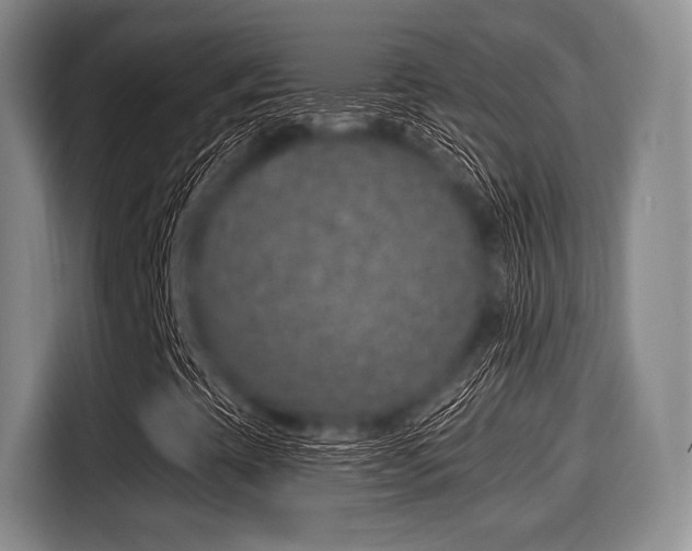 X0000116041393200911271148