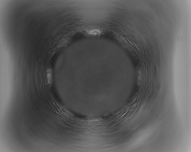 X0000116041394200911271148