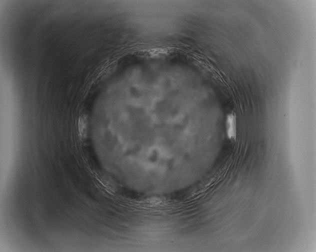 X0000116041395200911271148