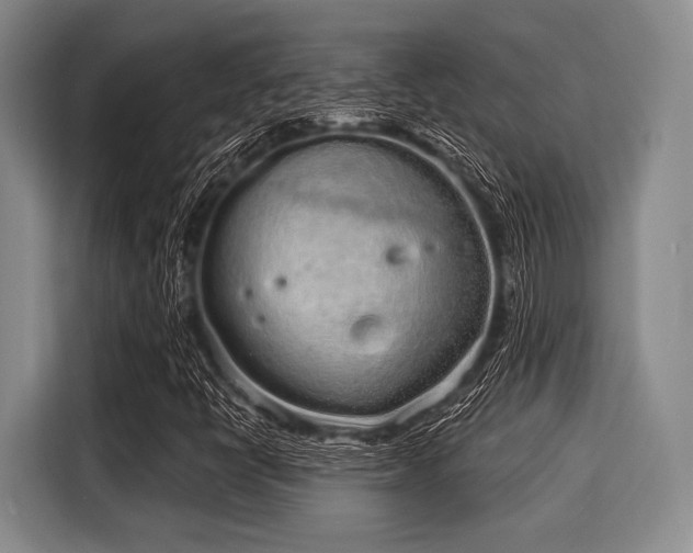 X0000116041398200911271148