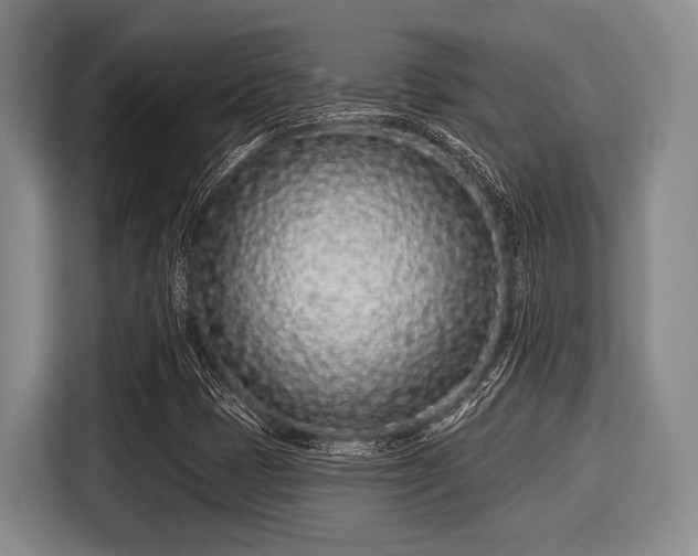 X0000116041401200911271149