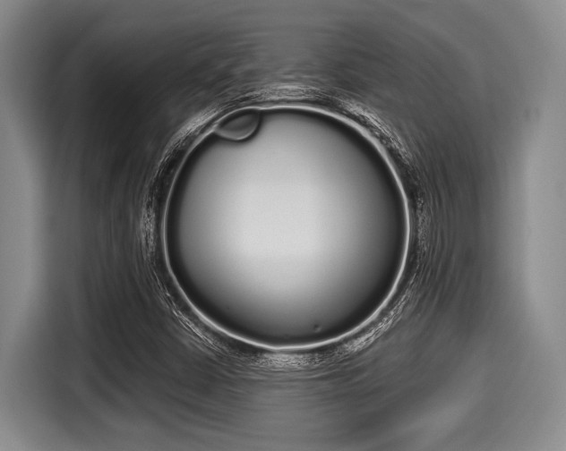 X0000116041402200911271149