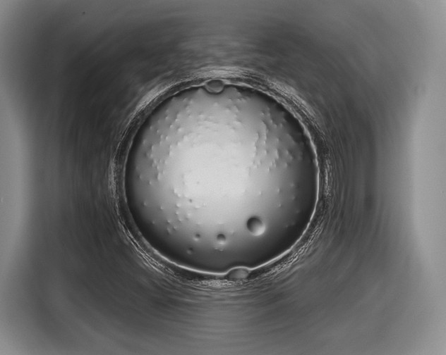 X0000116041404200911271149