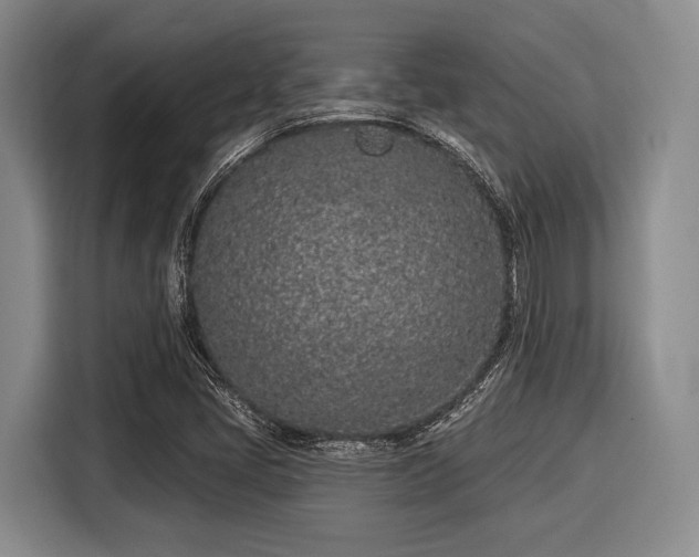 X0000116041405200911271149