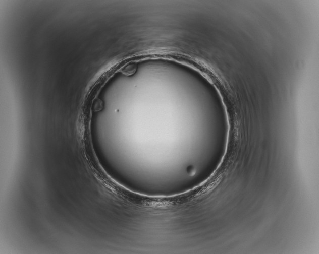 X0000116041406200911271149