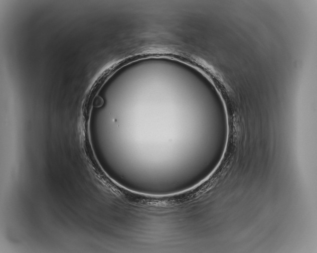 X0000116041408200911271149