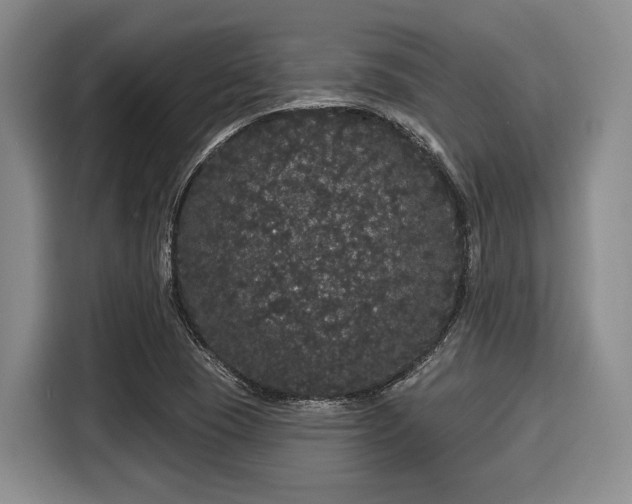 X0000116041409200911271149