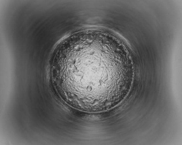 X0000116041411200911271149