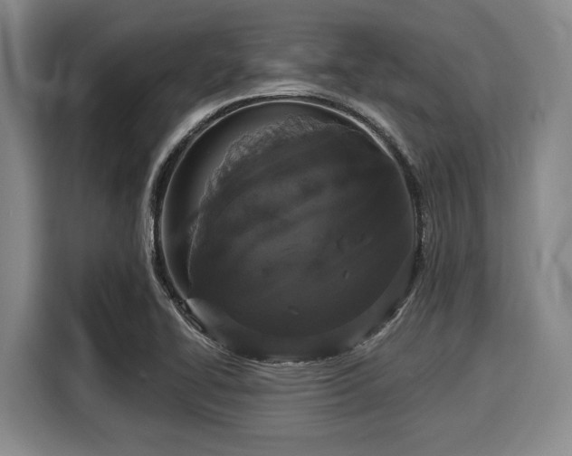 X0000116041414200911271149