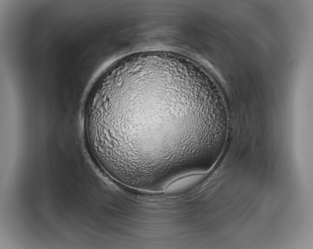 X0000116041416200911271149