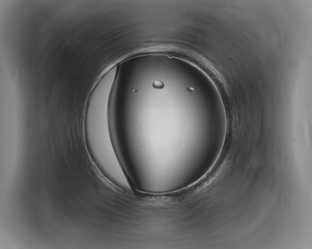 X0000116041417200911271149