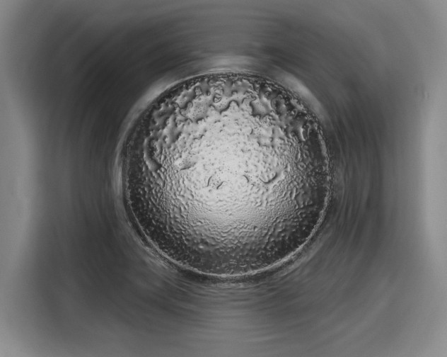 X0000116041419200911271149