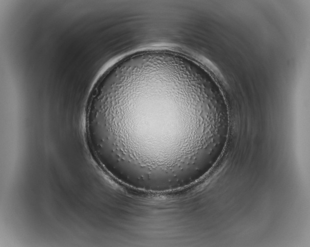 X0000116041420200911271149