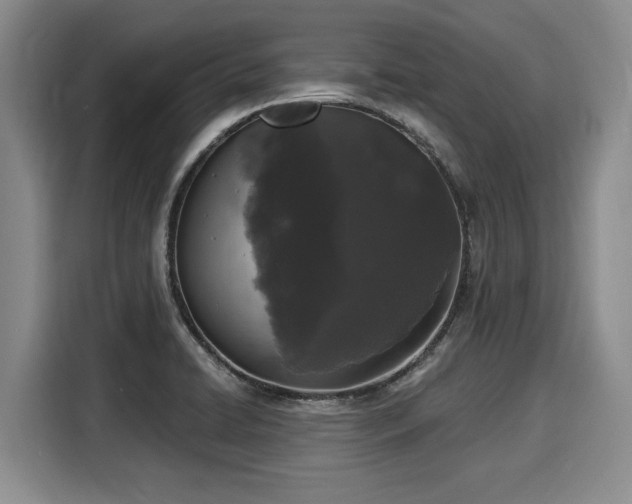 X0000116041422200911271149