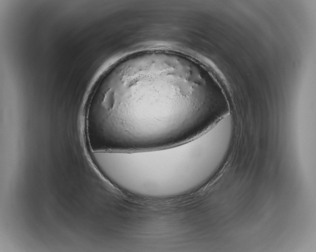 X0000116041424200911271149