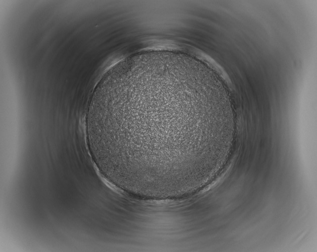 X0000116041425200911271149