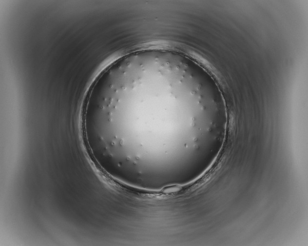 X0000116041426200911271149