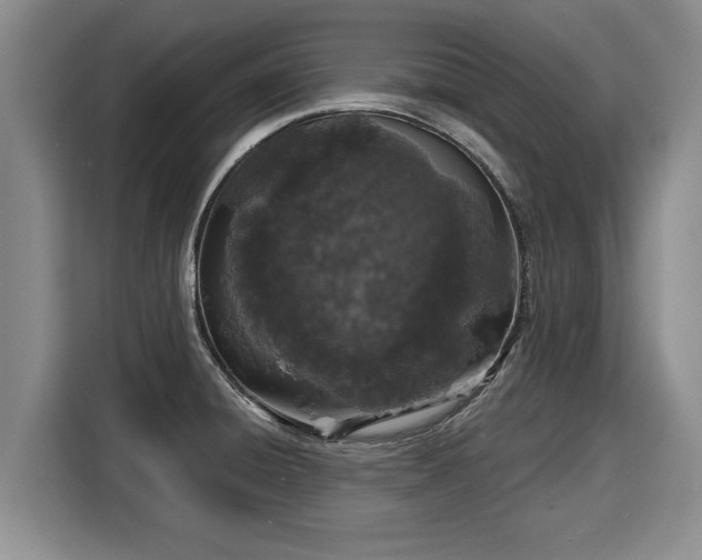 X0000116041428200911271149