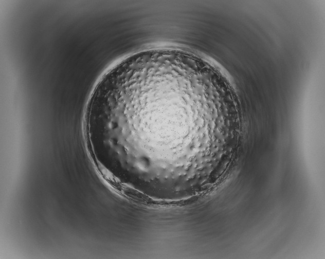 X0000116041429200911271149