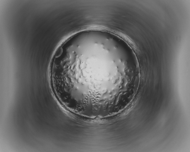 X0000116041430200911271149