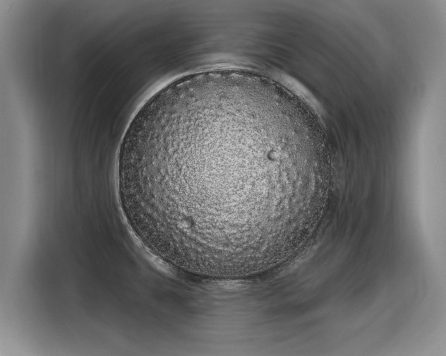 X0000116041431200911271149