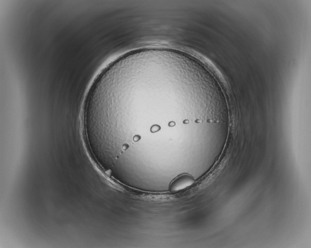 X0000116041432200911271149