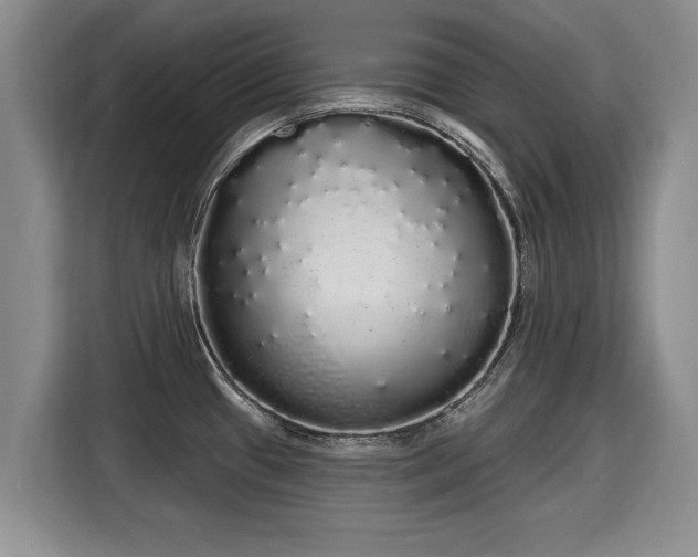 X0000116041433200911271149