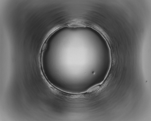 X0000116041434200911271149