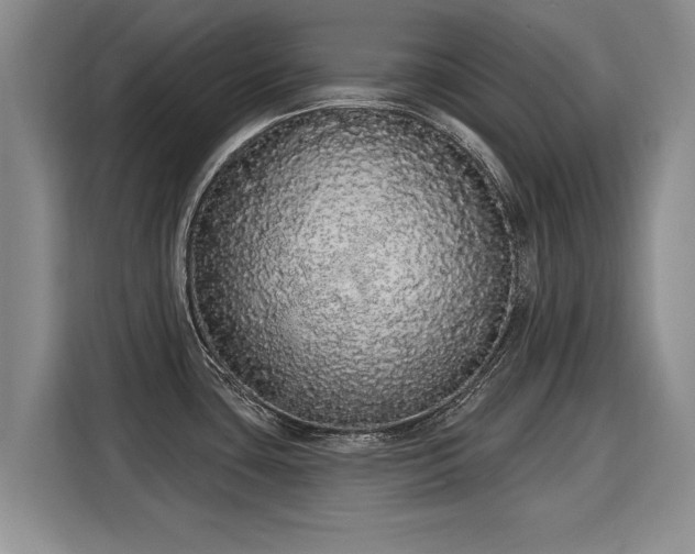 X0000116041435200911271149